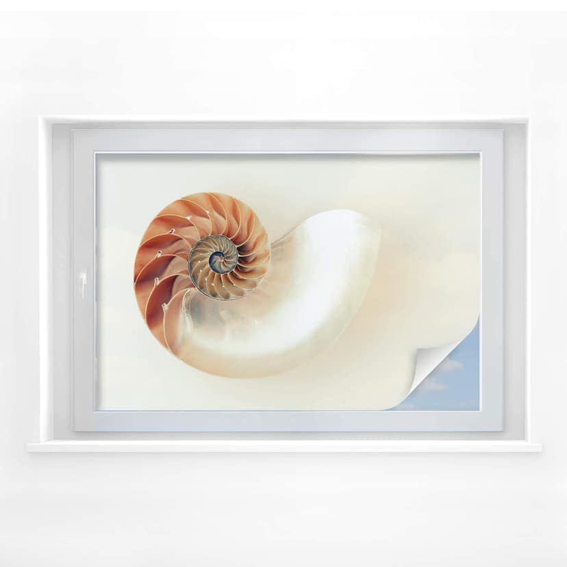Pellicola adesiva per vetri - nautilus