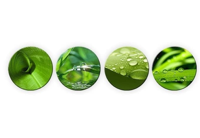 Natura - composizione in quattro parti tonde