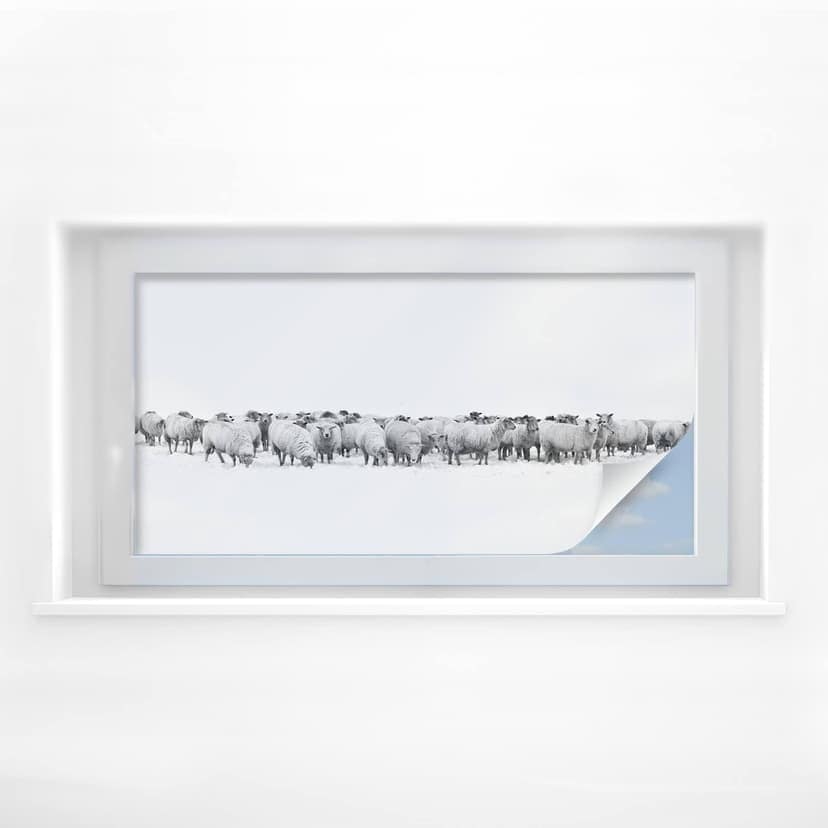 Pellicola adesiva per vetri - gregge di pecore (panoramica)