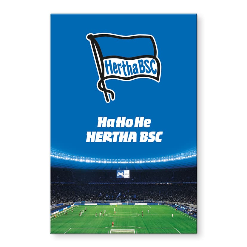 Stampa su vetro acrilico Hertha BSC - HaHoHe