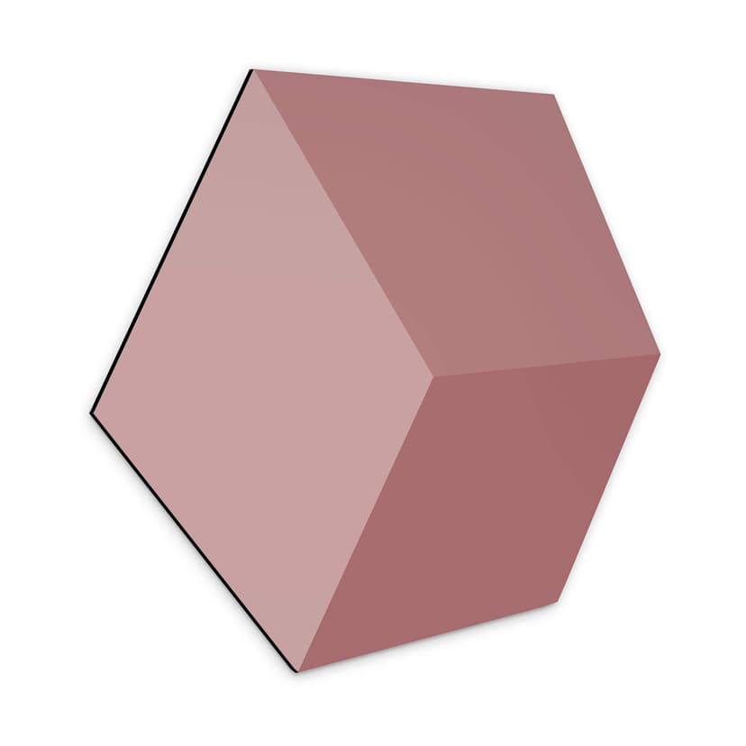 Esagono effetto 3D Alu-Dibond rosso