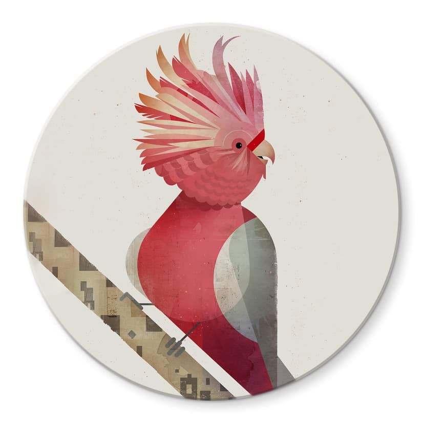 Stampa su vetro Braun - Cacatua rosa - tondo