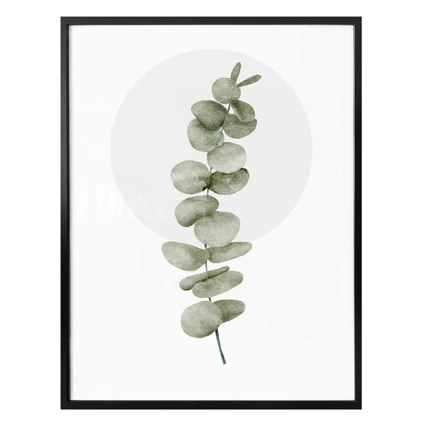 Poster Kubistika - Eucalipto
