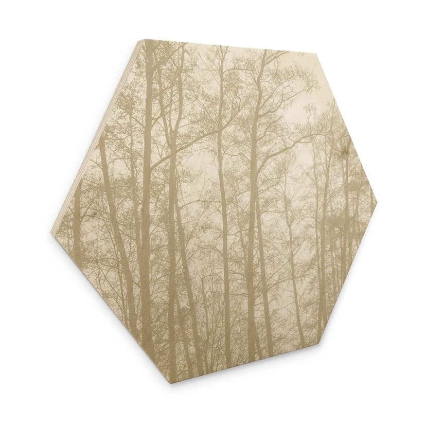 Stampa su legno a esagono, foresta invernale silenziosa - Böhmer