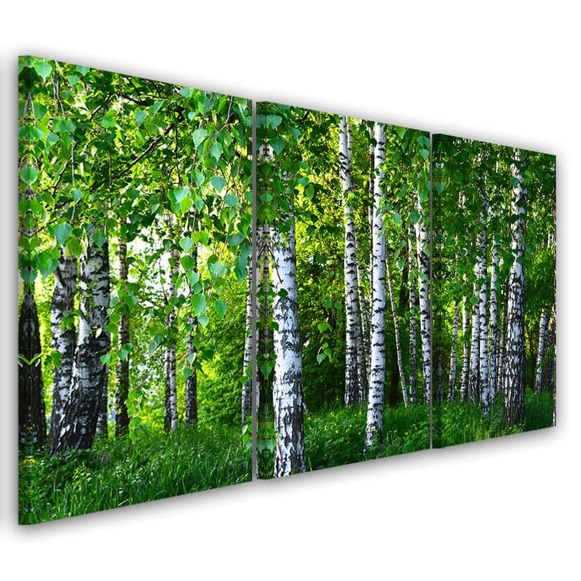 Stampa su tela 3 pezzi, verde bosco di betulle