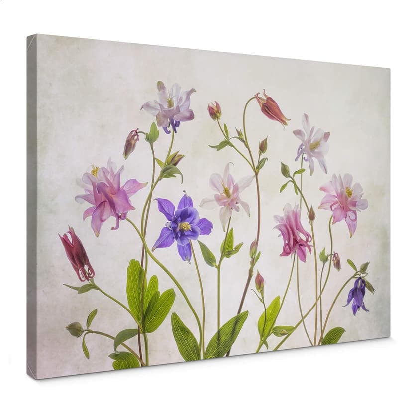 Stampa su tela Disher - Bouquet