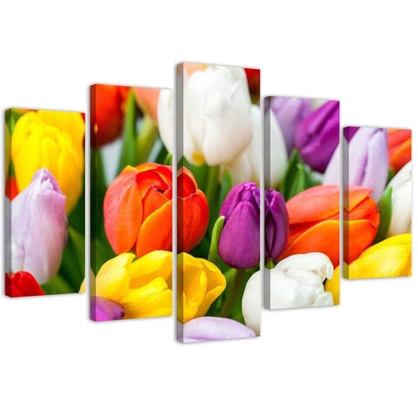 Stampa su tela 5 pezzi Fiori di tulipani colorati