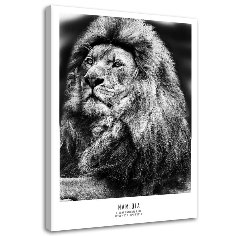 Stampe su tela, Leone animale africano
