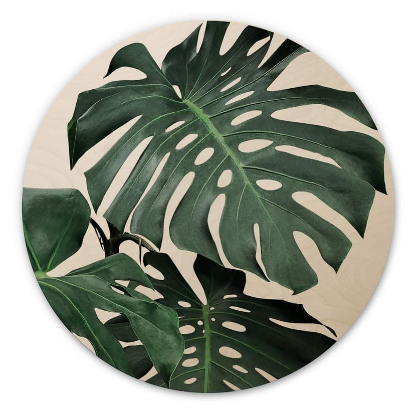 Stampa su legno Sisi & Seb - Monstera - tondo