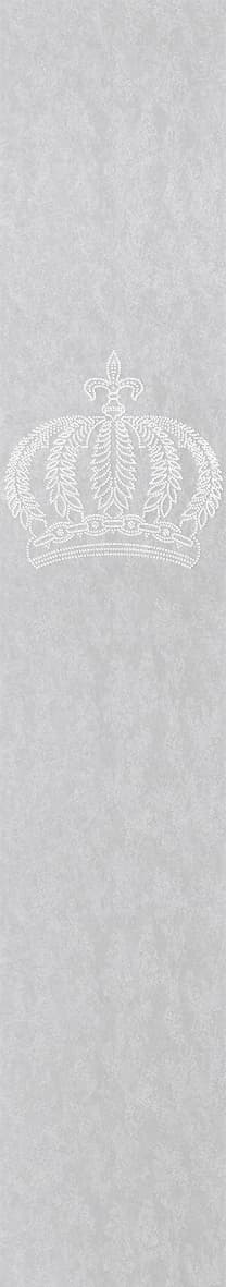 Carta da parati in tessuto non tessuto a corona, look cemento look metallo moderno lucido in argento