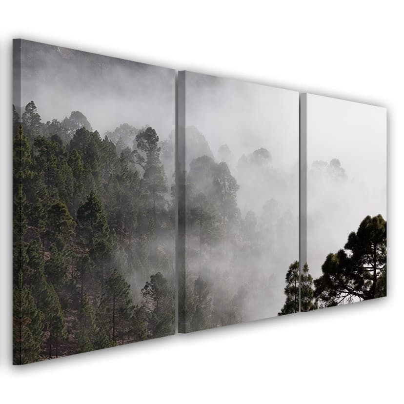Stampa su tela in 3 pezzi, Foresta nella nebbia