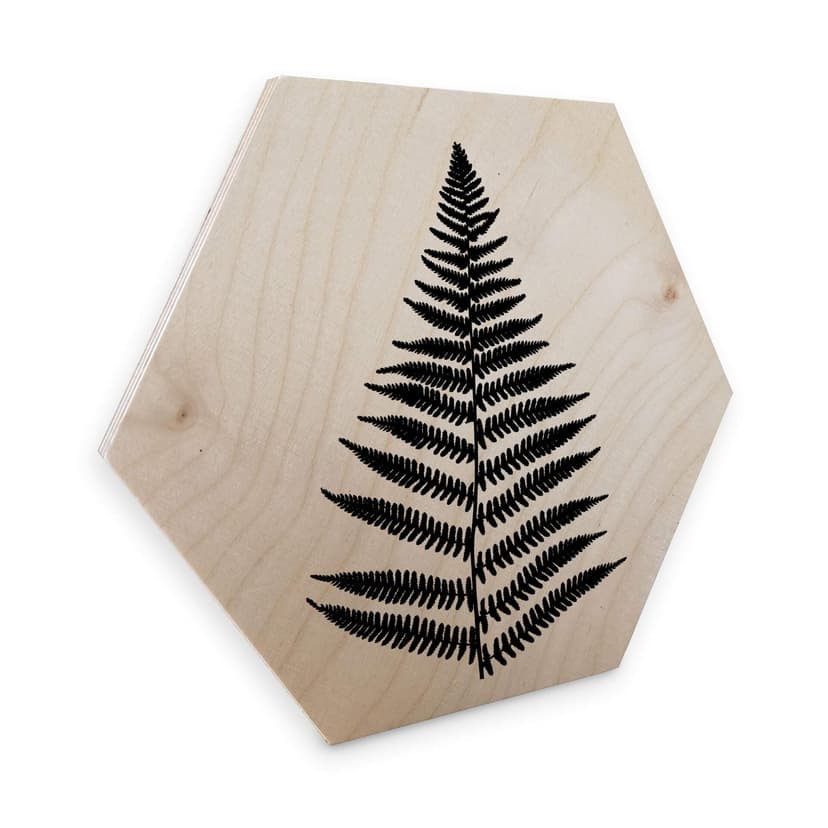 Esagoni in legno – Felce