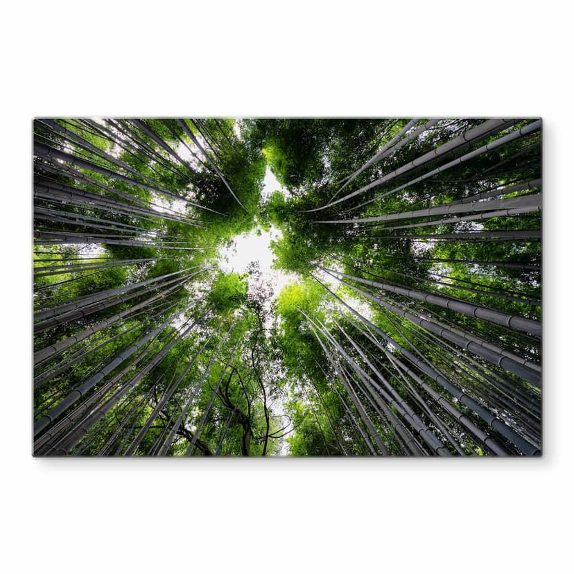 Stampa su vetro Hugonnard - Foresta giapponese