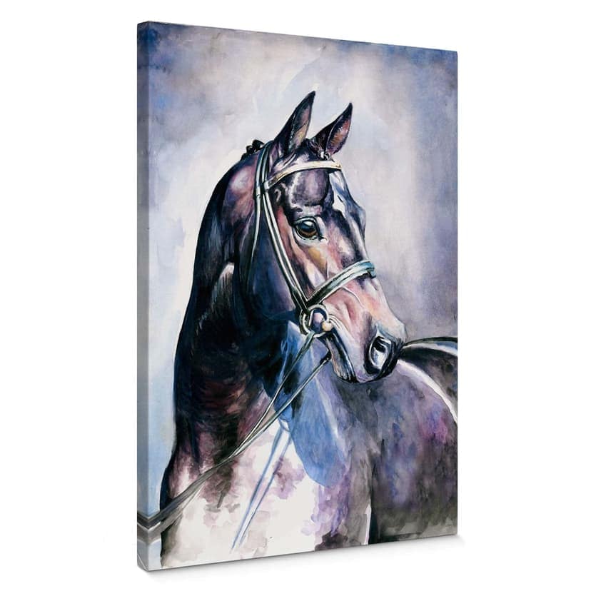 Acquarello di un cavallo