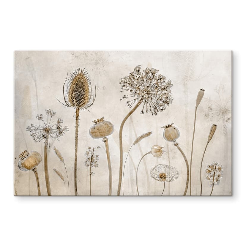 Glasbild Disher - Trockenblumen