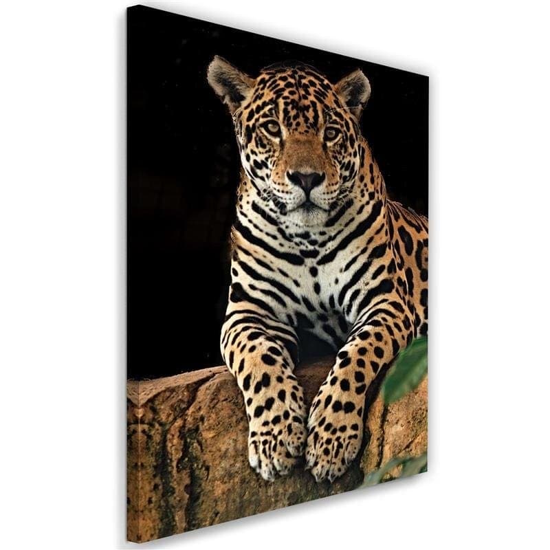 Stampe su tela, Animali leopardo