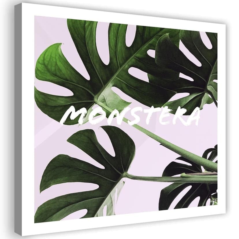 Stampe su tela, Foglie esotiche di Monstera