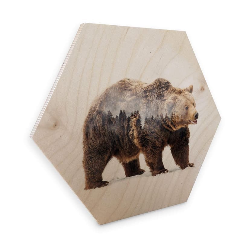 Esagoni legno Beáta - Orso