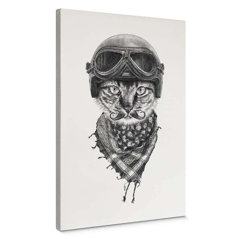 Stampa su tela Kools - Biker Cat