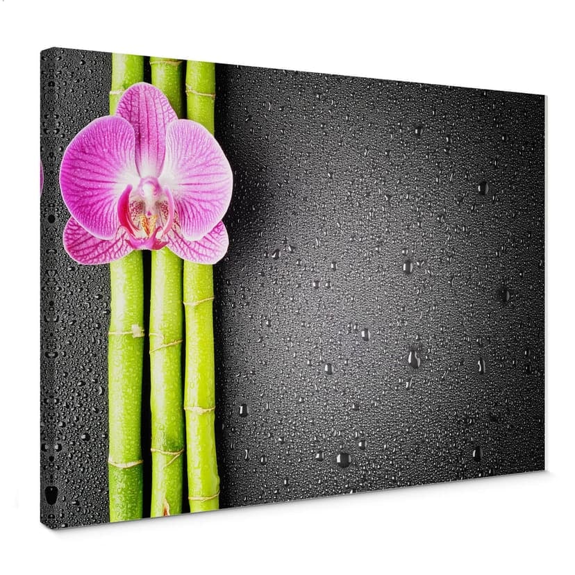 Orchidea e bambù