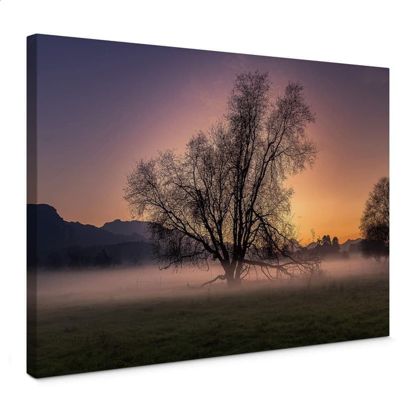 Stampa su tela Cuadrado - La nebbia