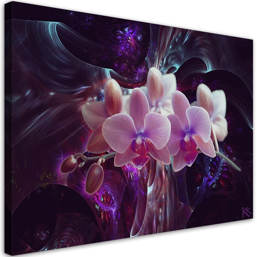 Stampe su tela, Fiori di orchidea bianchi piante