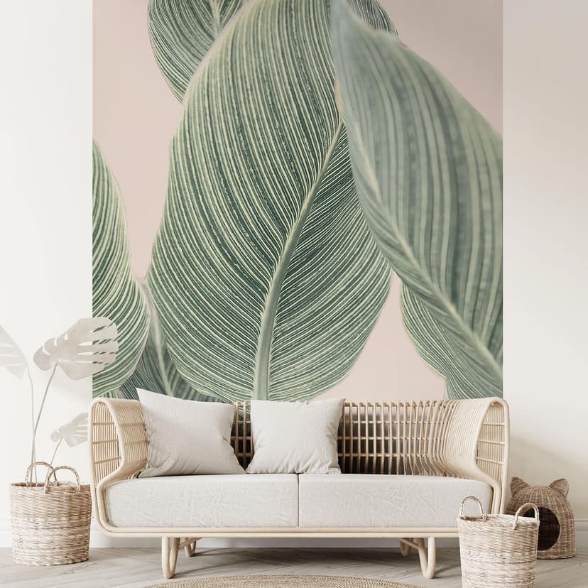 Fotomurale Pianta di calathea - Sisi & Seb