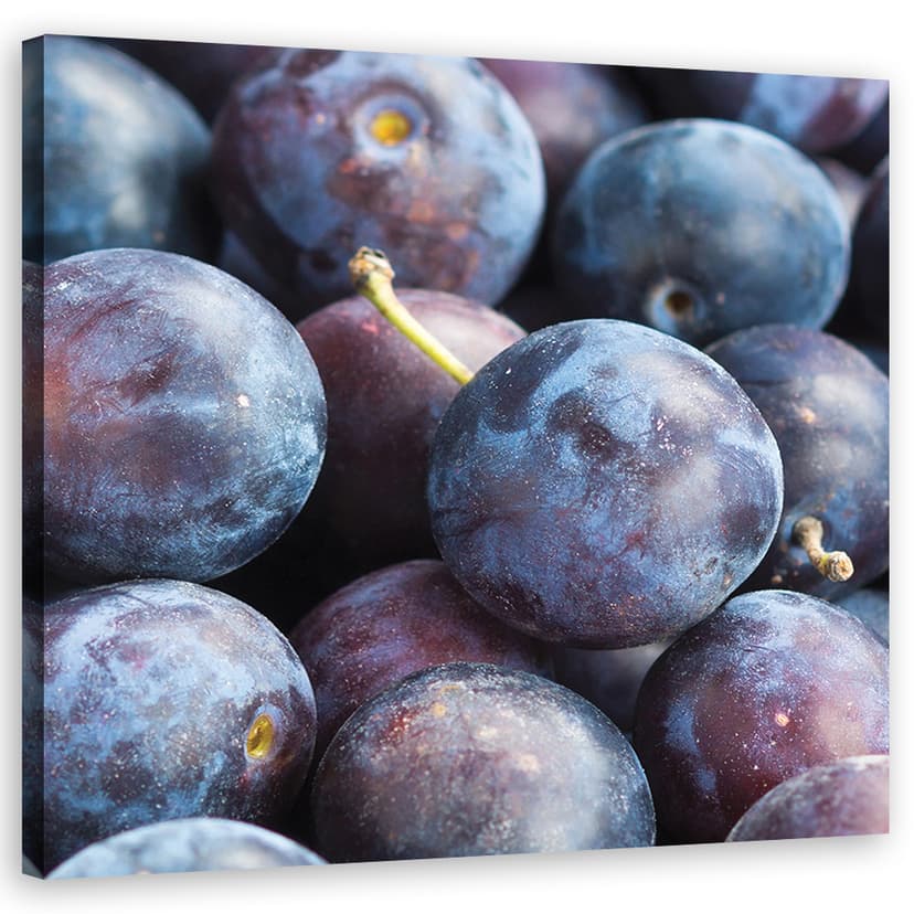 Stampe su tela, frutta prugna