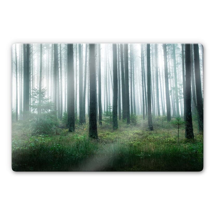 Stampa su vetro Lindsten - Nella foresta