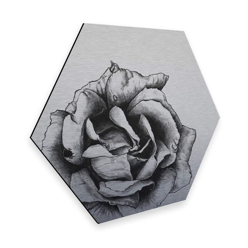 Esagoni in Alu-dibond Kools - Rosa argentato