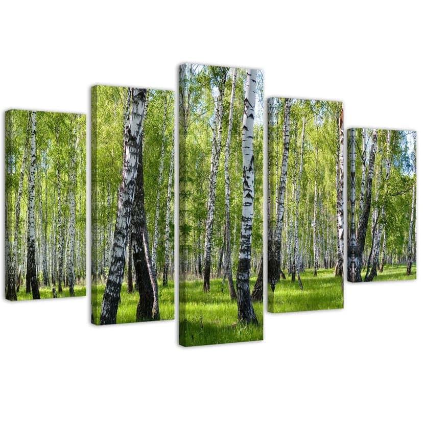 Stampa su tela 5 parti, bosco di betulle