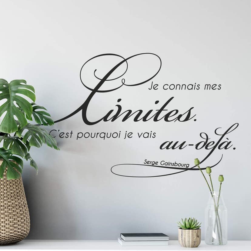 Adesivo murale - Je connais me limites...