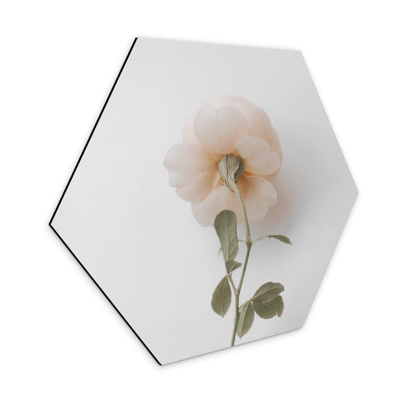 Esagoni in Alu-dibond Annie - Rose