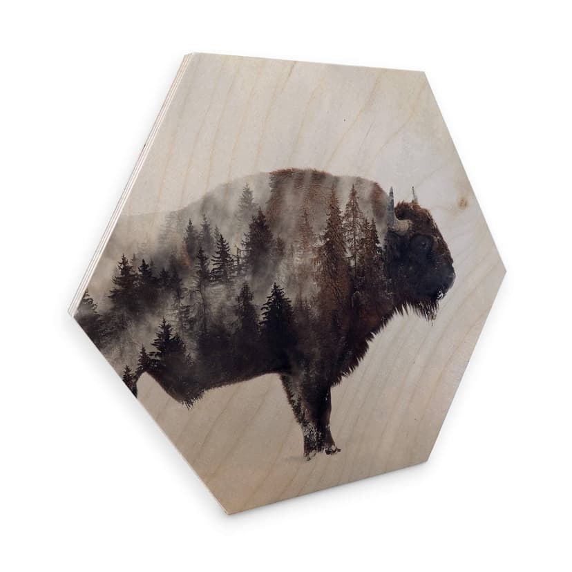 Esagoni legno Beáta - Bisonte