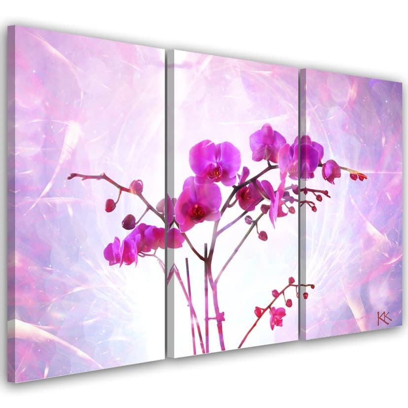 Stampa su tela 3 pezzi, orchidea essenziale