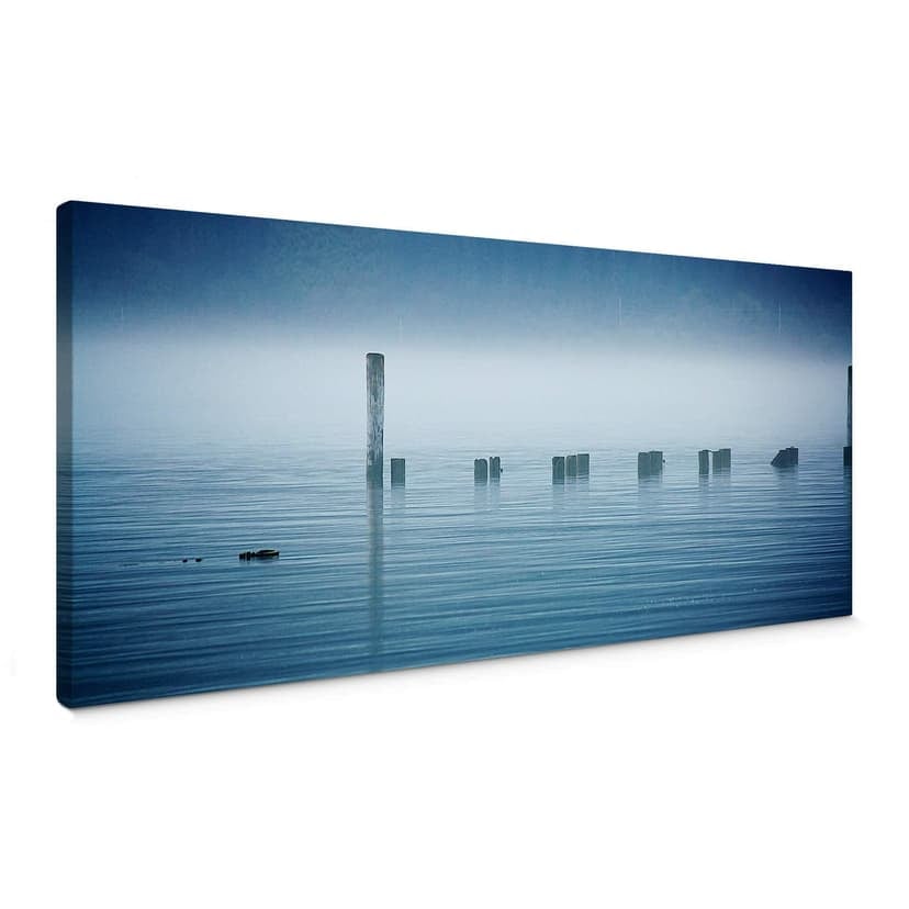 Banco di nebbia - panoramica