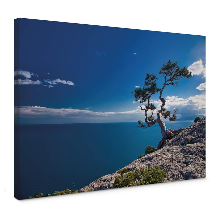 Stampa su tela Paesaggio lacustre - Albero e mare