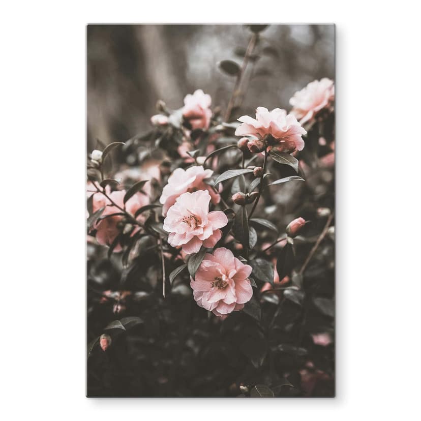 Stampa su vetro Annie - Rose