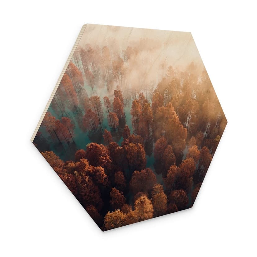 Esagono in legno Foresta autunnale nella nebbia - Ioricon