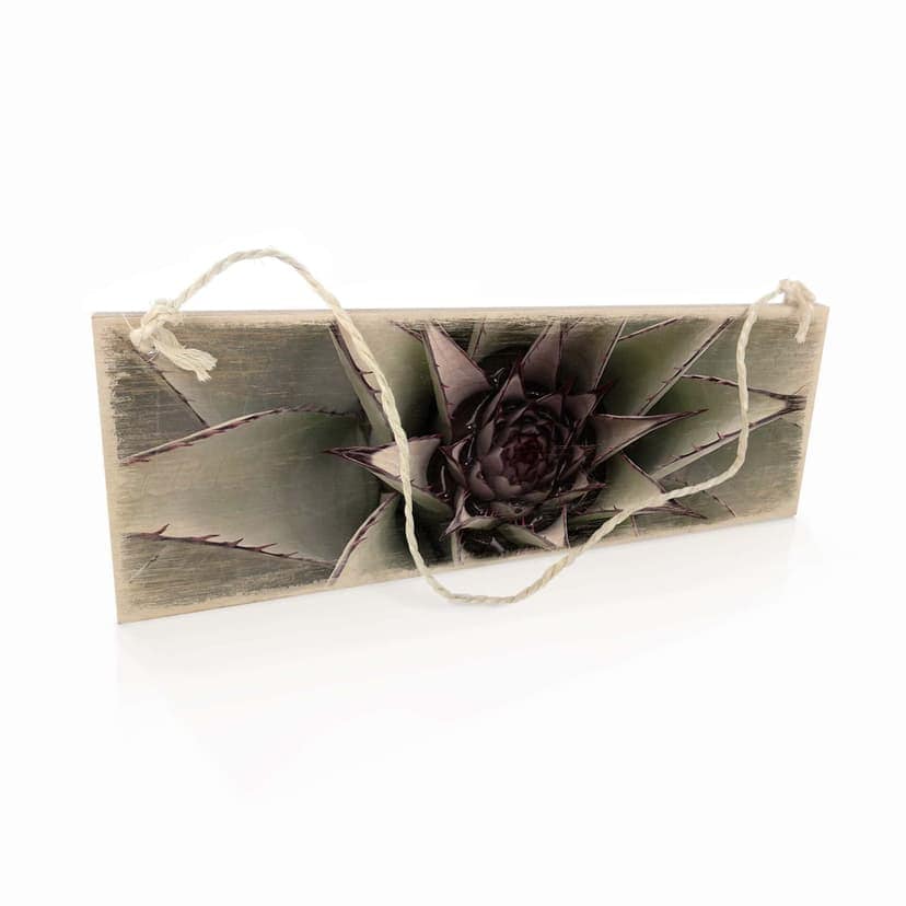 Targa in legno - Agave 01