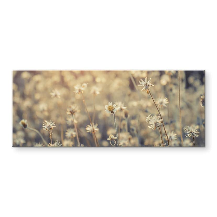 Stampa su vetro - Mexican Daisy