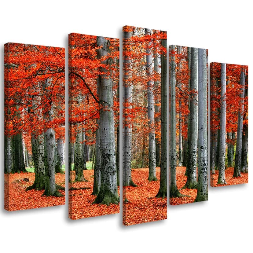 Stampa su tela 5 pezzi Foresta rossa Autunno Natura