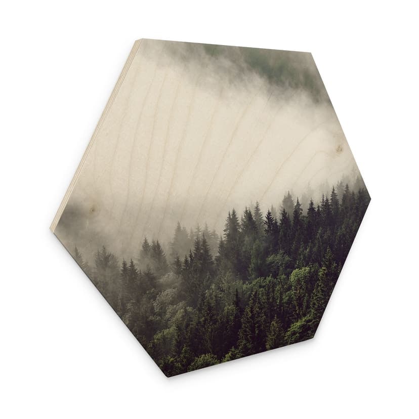 Esagoni in legno - Nebbia nella foresta