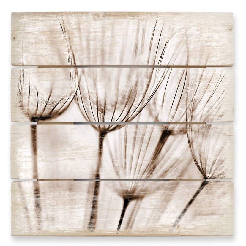 Stampa su legno - Soffioni