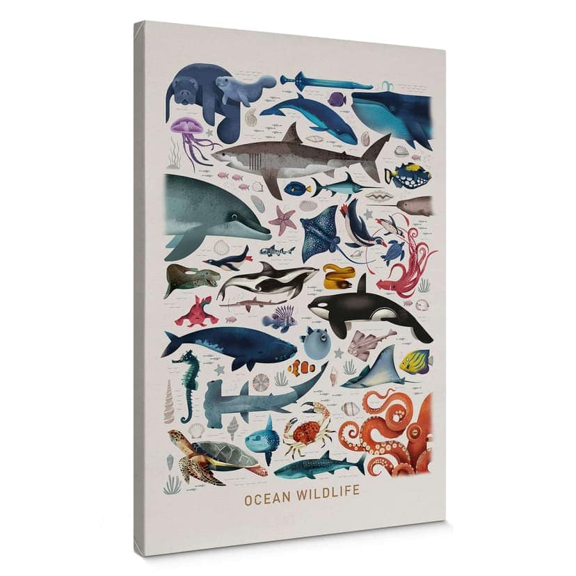 Stampa su tela Braun - Ocean Wildlife