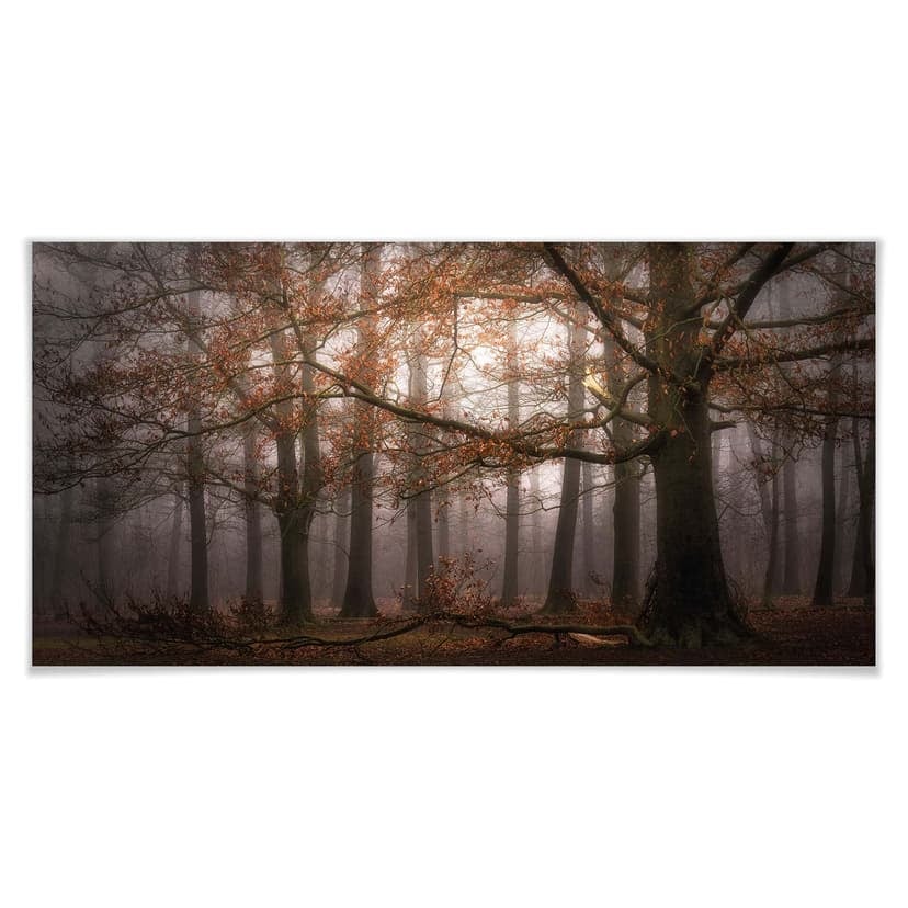 Poster Dingemans - Nebbia nella foresta autunnale
