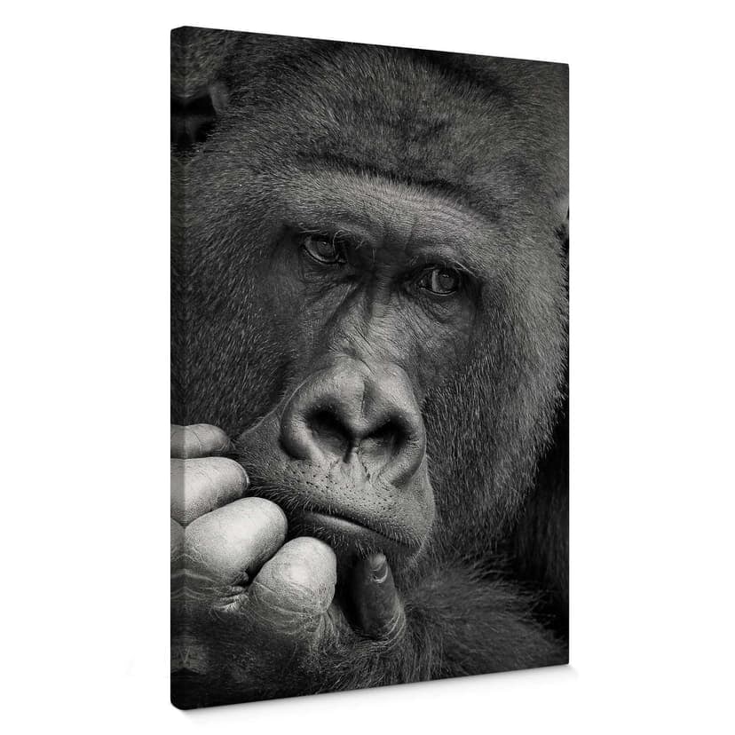 Stampa su tela Wenner - Gorilla