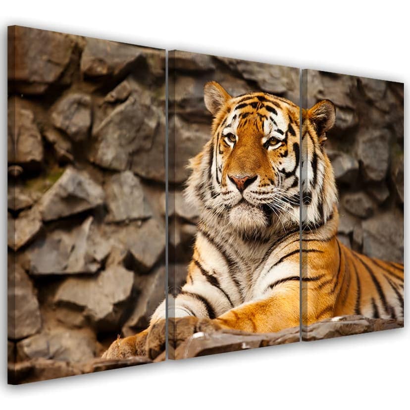 Stampa su tela in 3 pezzi, animali della tigre dell'Africa