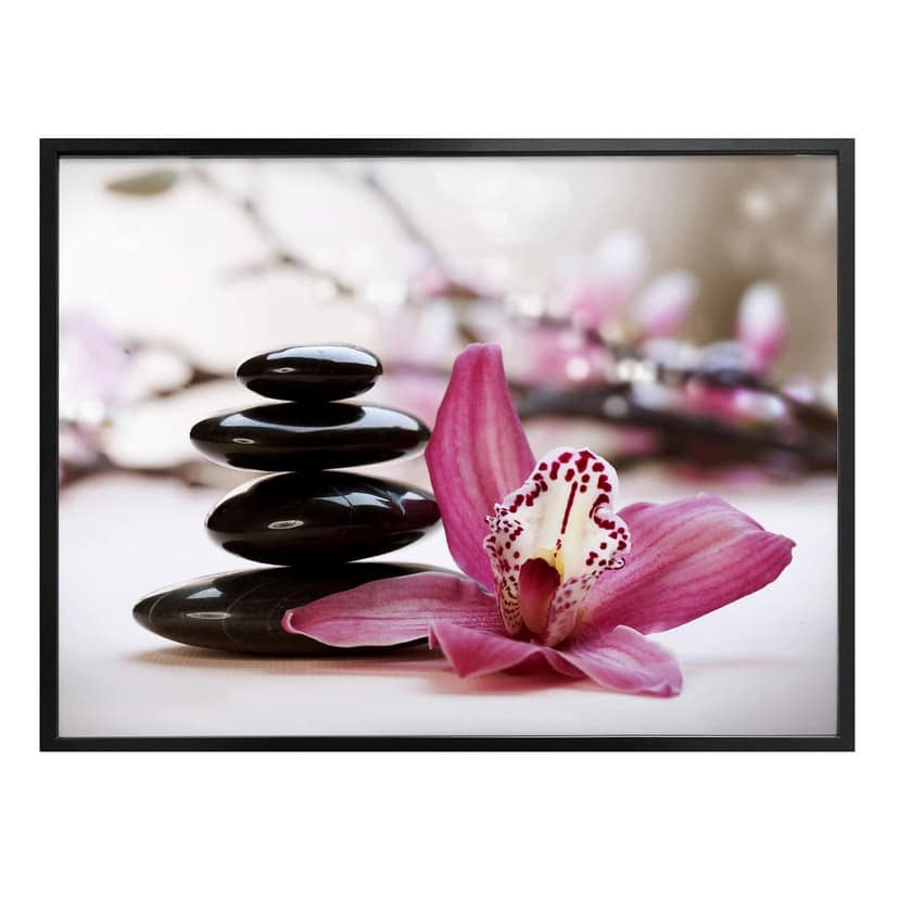 Poster - Orchidea