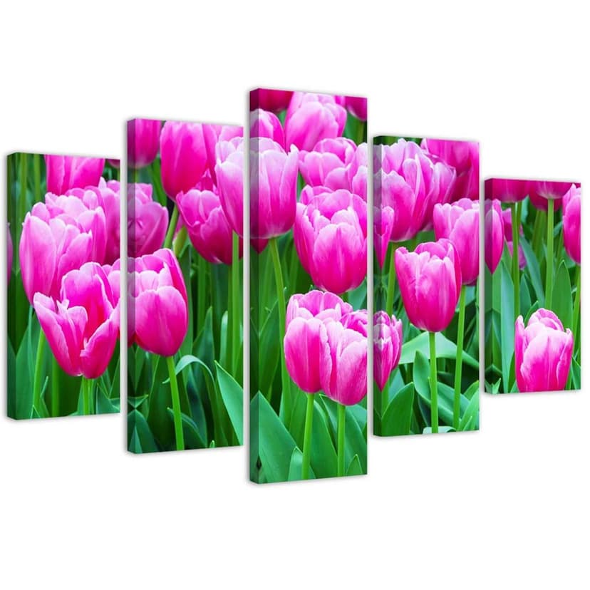Stampa su tela 5 pezzi, tulipani rosa